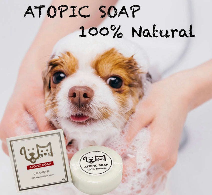 ATOPIC SOAP